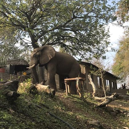 Ximongwe River Camp - Crocodile Cottage Заповедник Балуле Экстерьер фото